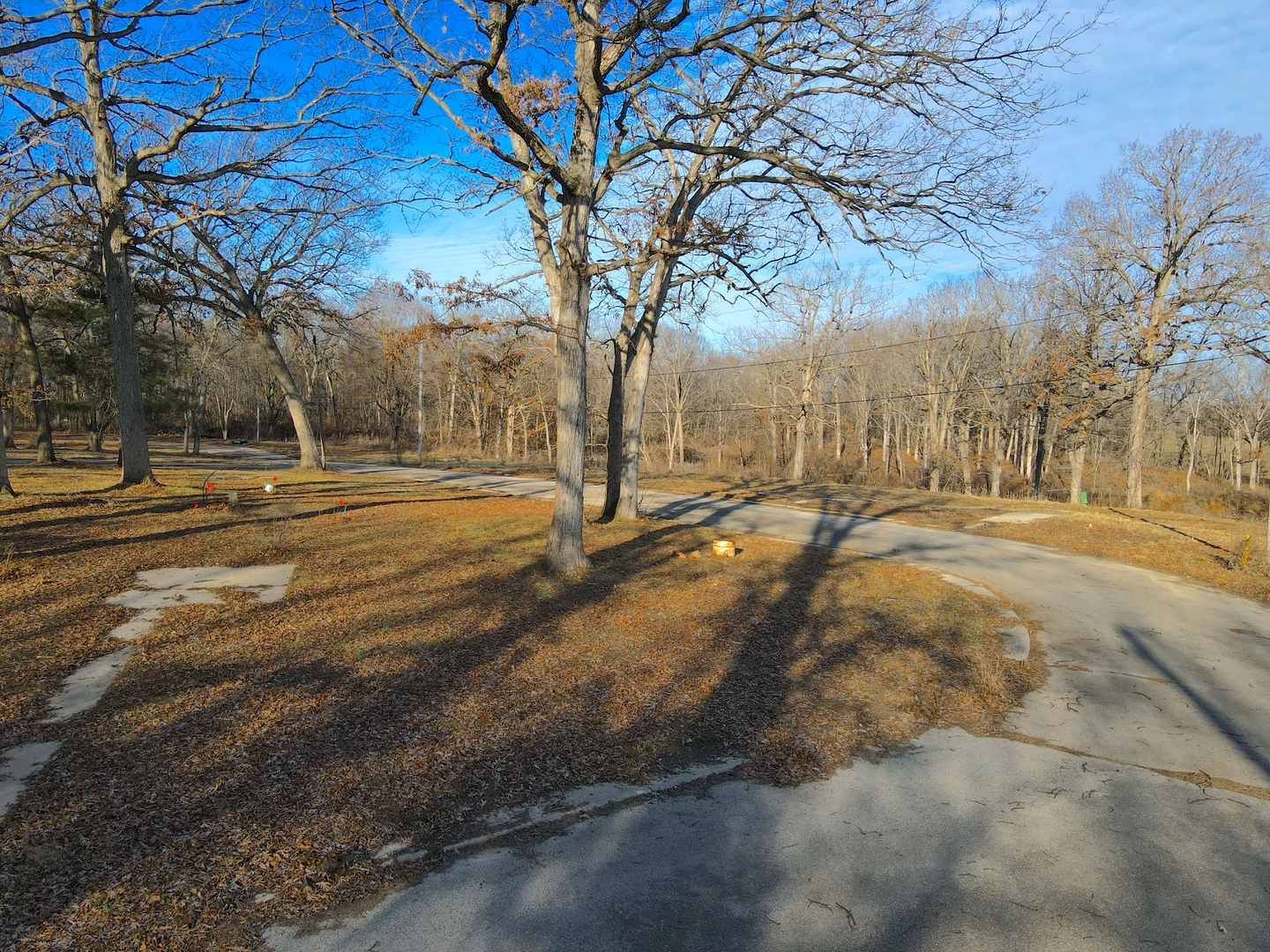 4500 East River Road Ridott, IL 61067 - Photo 21 of 35 a view of dirt yard with large trees