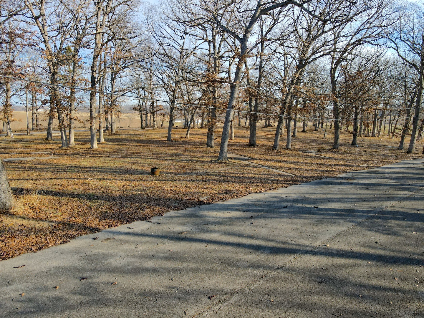 4500 East River Road Ridott, IL 61067 - Photo 23 of 35