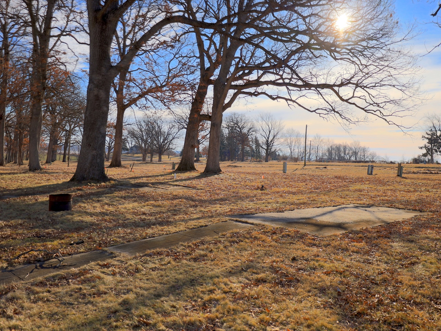 4500 East River Road Ridott, IL 61067 - Photo 24 of 35 a view of yard with large trees