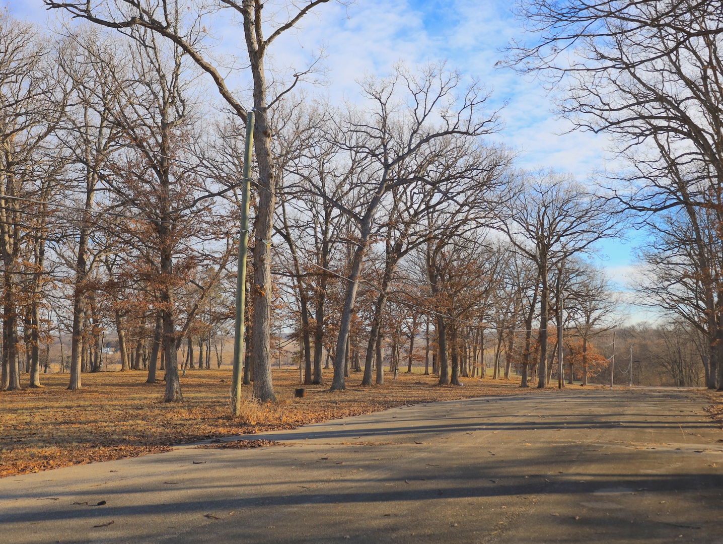 4500 East River Road Ridott, IL 61067 - Photo 27 of 35