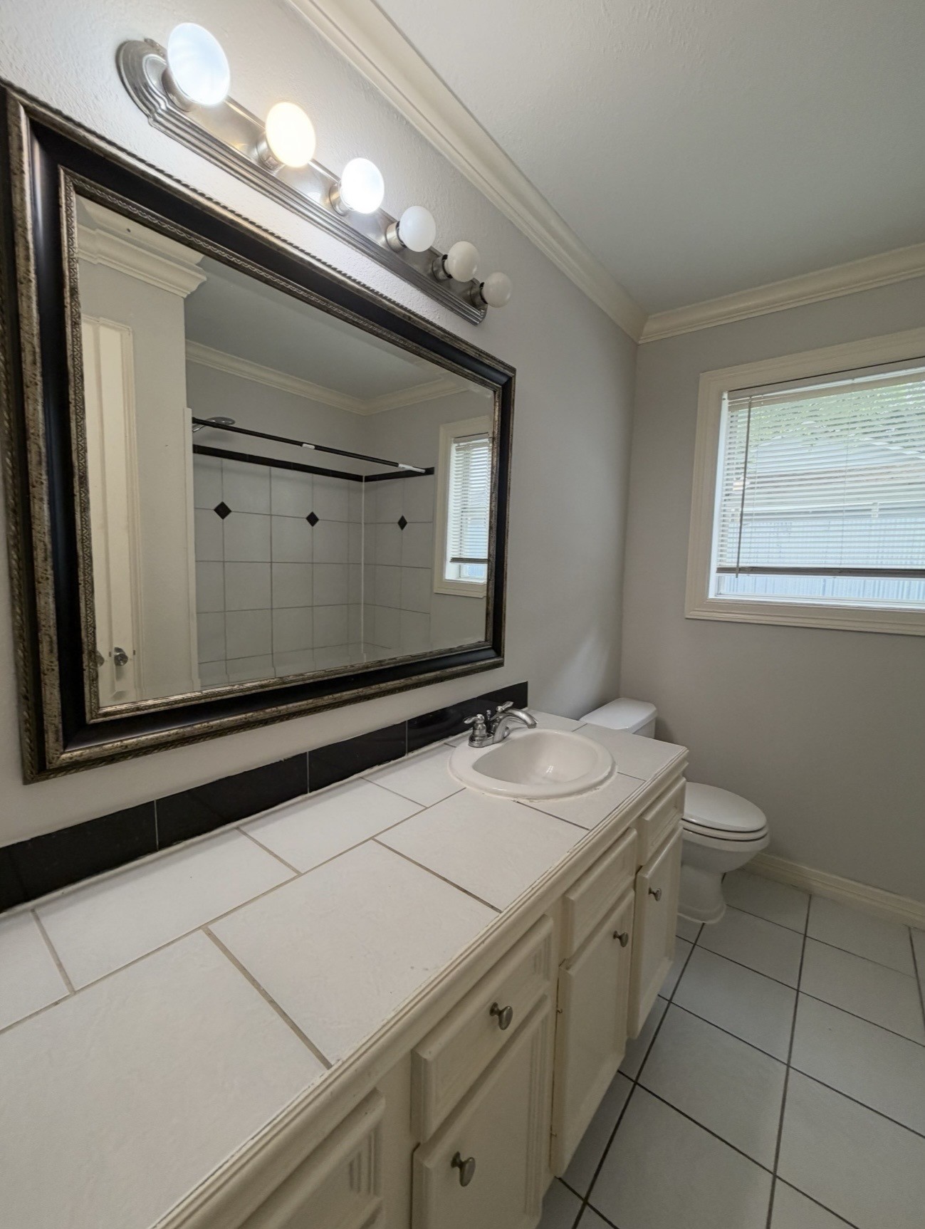 613 Pacific Street, Unit 1 Houston, TX 77006 - Photo 9 of 28 a bathroom with a sink a toilet and mirror