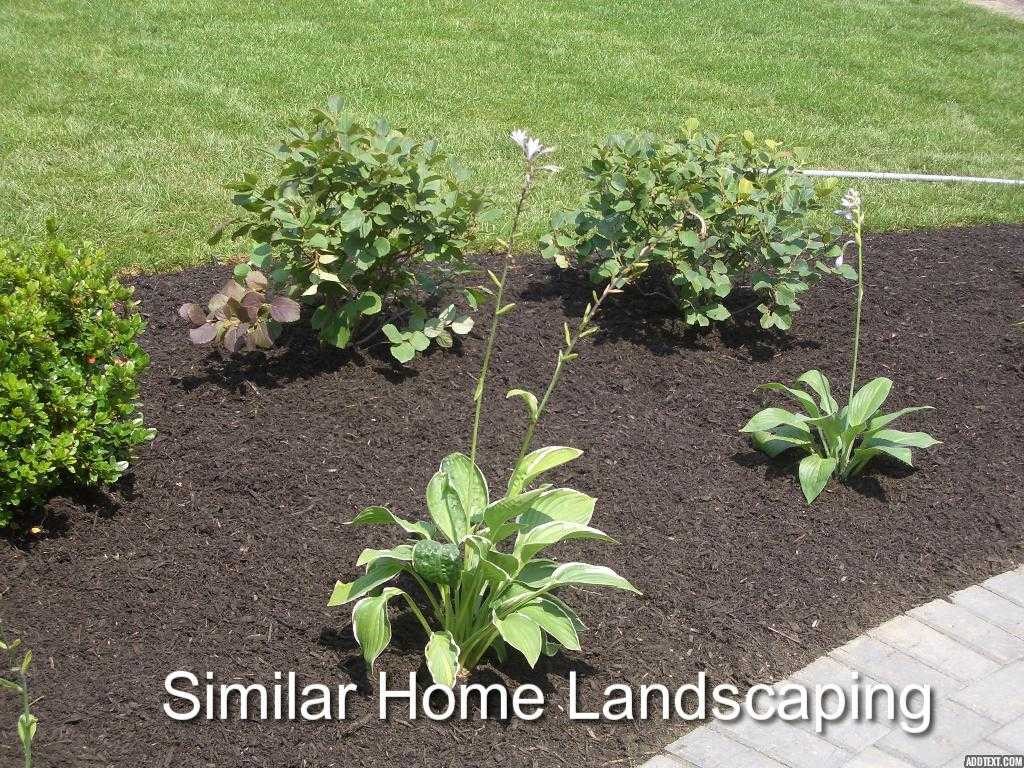 Lot 31 Calla Road Londonderry, NH 03053 - Photo 6 of 11