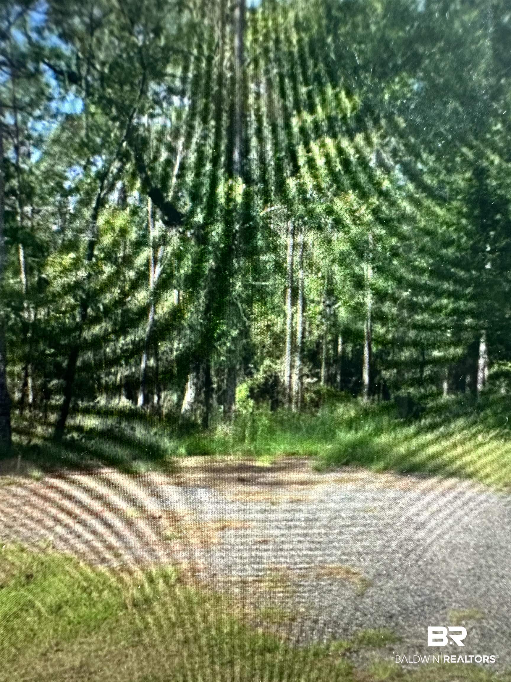 0 Bromley Road Bay Minette, AL 36507 - Photo 1 of 2 View of nature