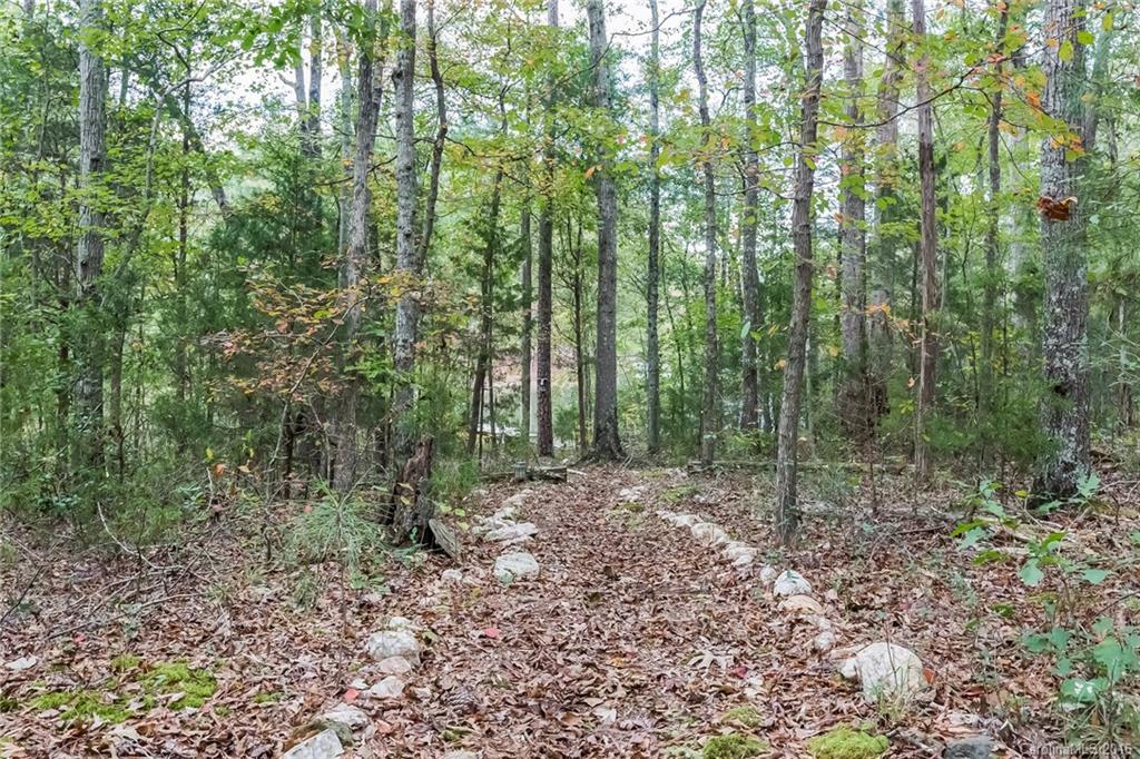 1055 Donnybrook Road Catawba, SC 29704 - Photo 5 of 24