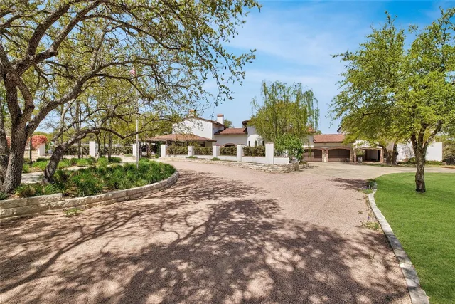 a view of a park with plants and trees