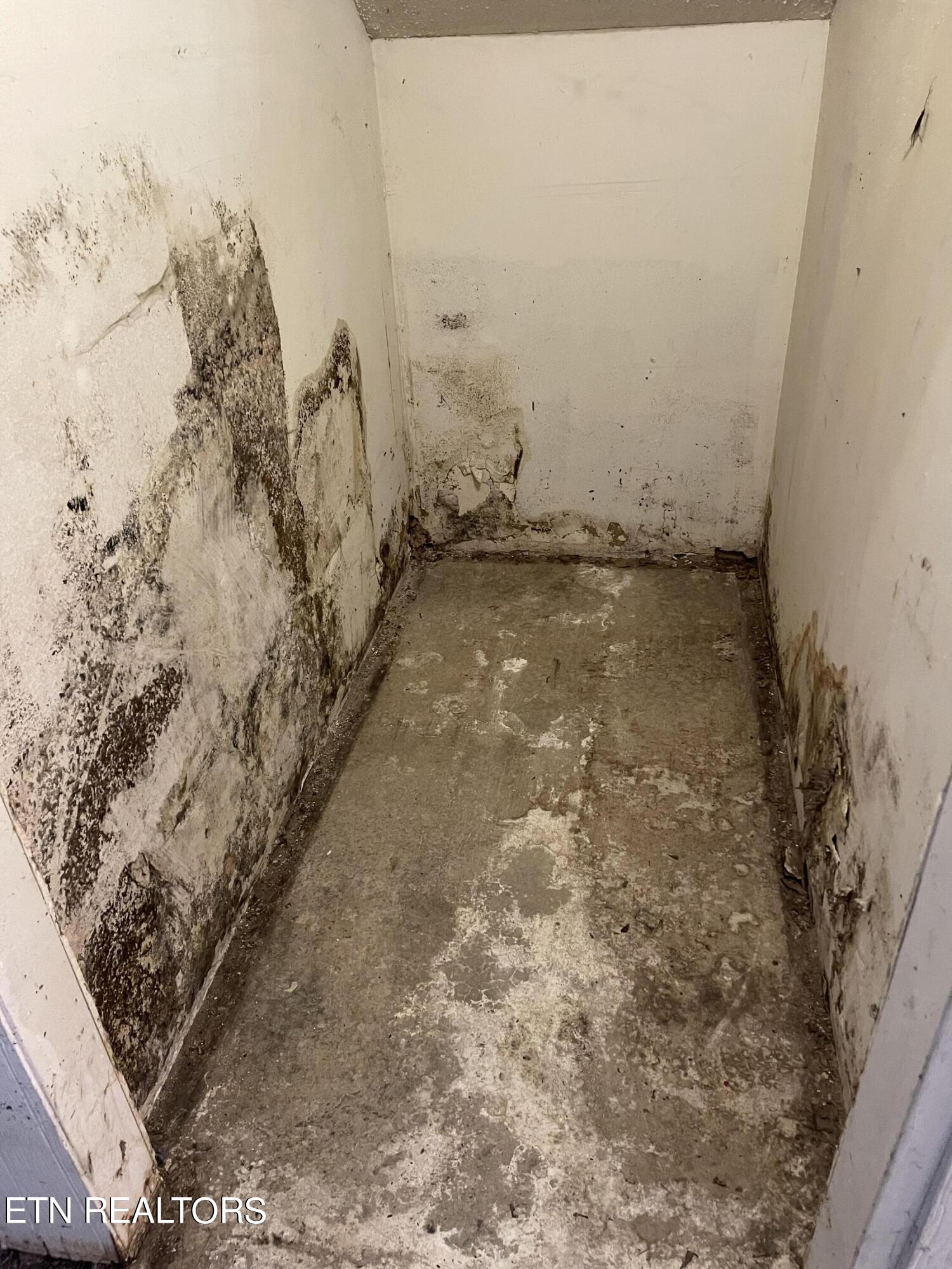 138 Peach Orchard Road Clinton, TN 37716 - Photo 33 of 43 A568ADCE-A105-4F1C-A022-0D6ACAFA9AB2