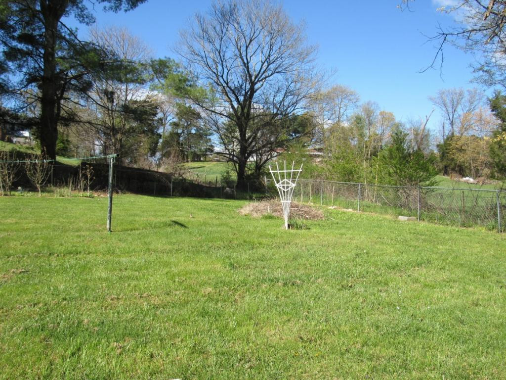 30 Ridgeview Drive Mosheim, TN 37818 - Photo 23 of 25 Photo 23