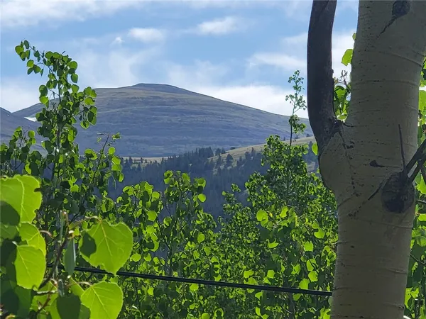 $124,999 | 1191 Quartzville Road, Alma, CO 80420