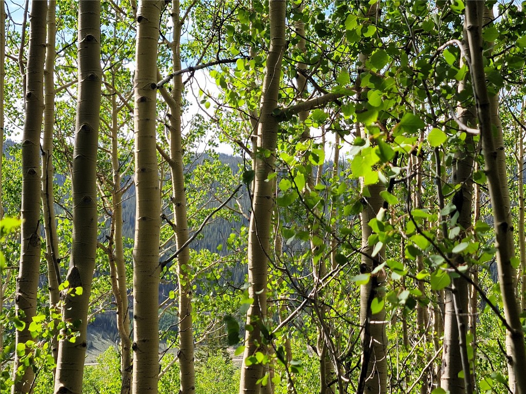 1191 Quartzville Road Alma, CO 80420 - Photo 12 of 43