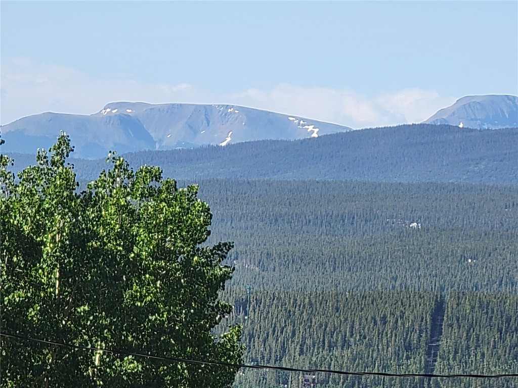 1191 Quartzville Road Alma, CO 80420 - Photo 13 of 43