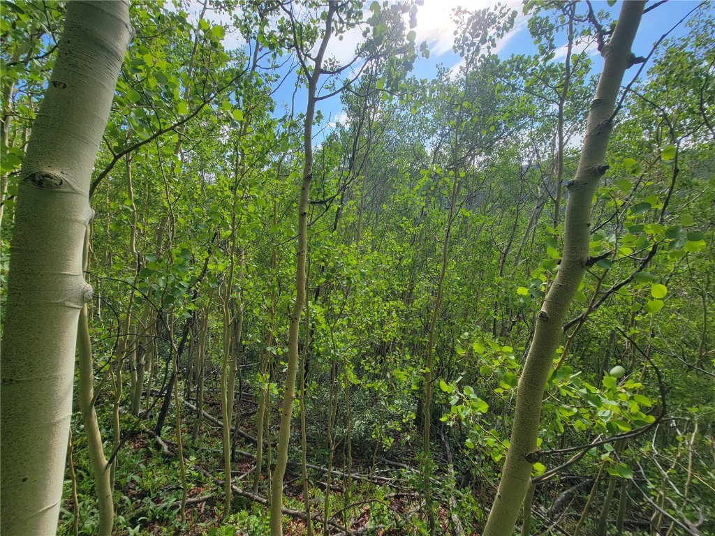 1191 Quartzville Road Alma, CO 80420 - Photo 14 of 43