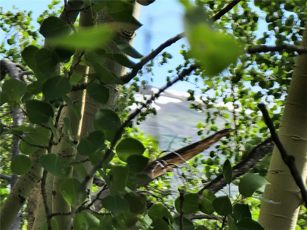 1191 Quartzville Road Alma, CO 80420 - Photo 15 of 43