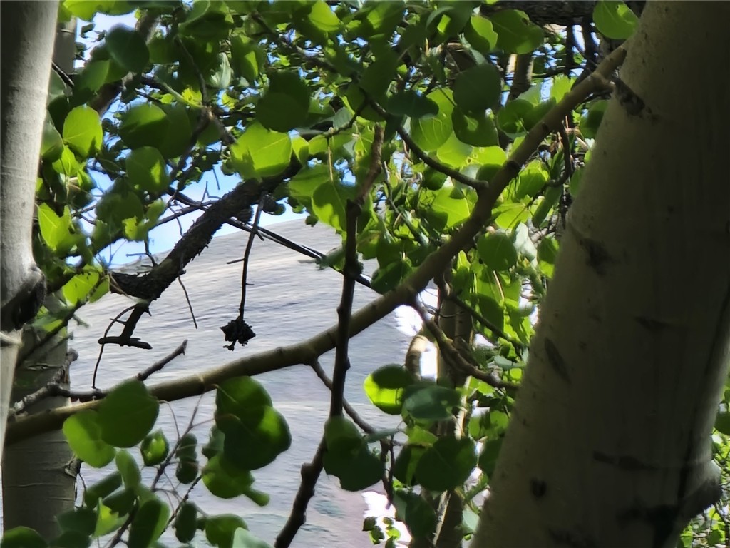 1191 Quartzville Road Alma, CO 80420 - Photo 16 of 43