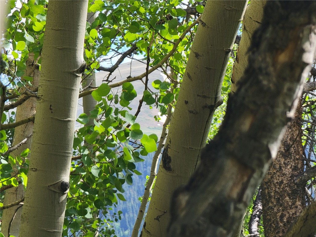 1191 Quartzville Road Alma, CO 80420 - Photo 18 of 43