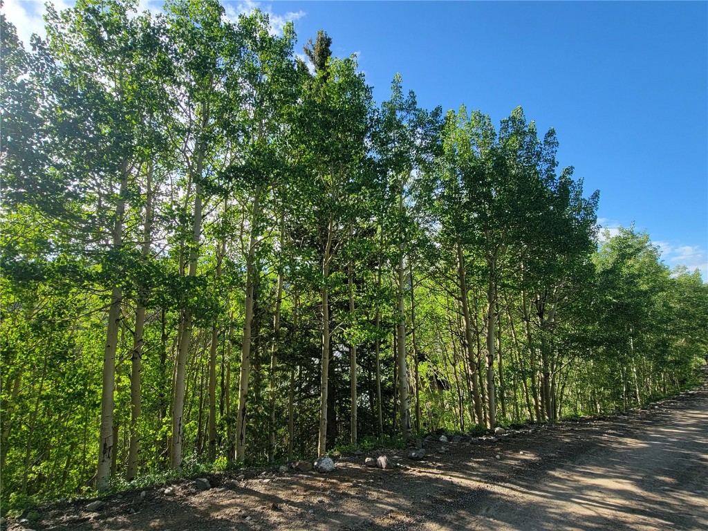 1191 Quartzville Road Alma, CO 80420 - Photo 19 of 43