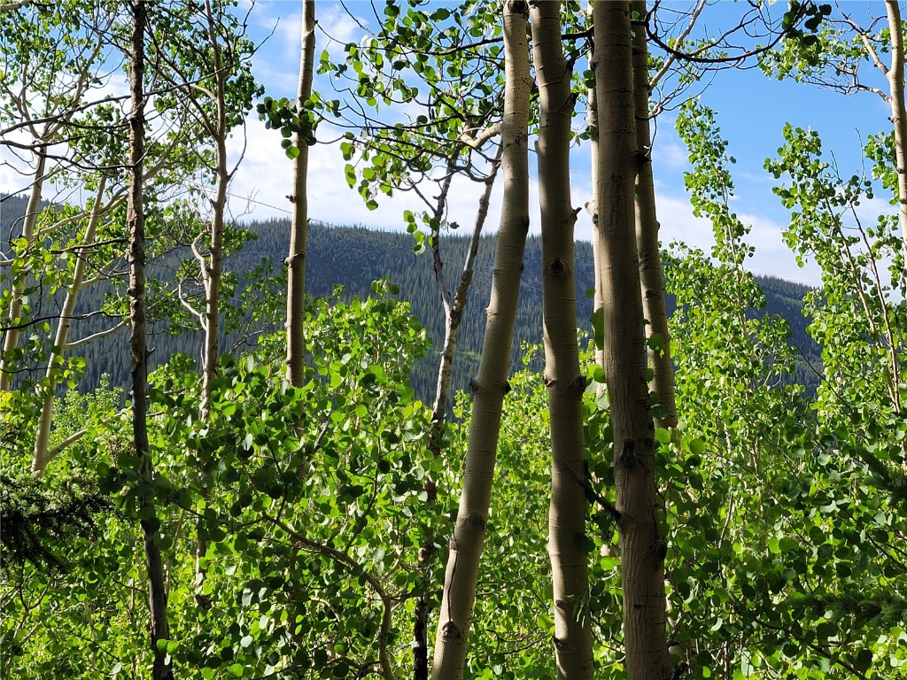 1191 Quartzville Road Alma, CO 80420 - Photo 20 of 43