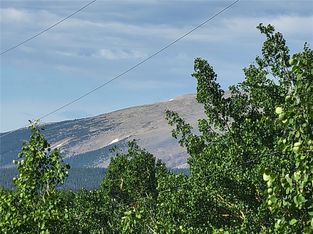 1191 Quartzville Road Alma, CO 80420 - Photo 2 of 43