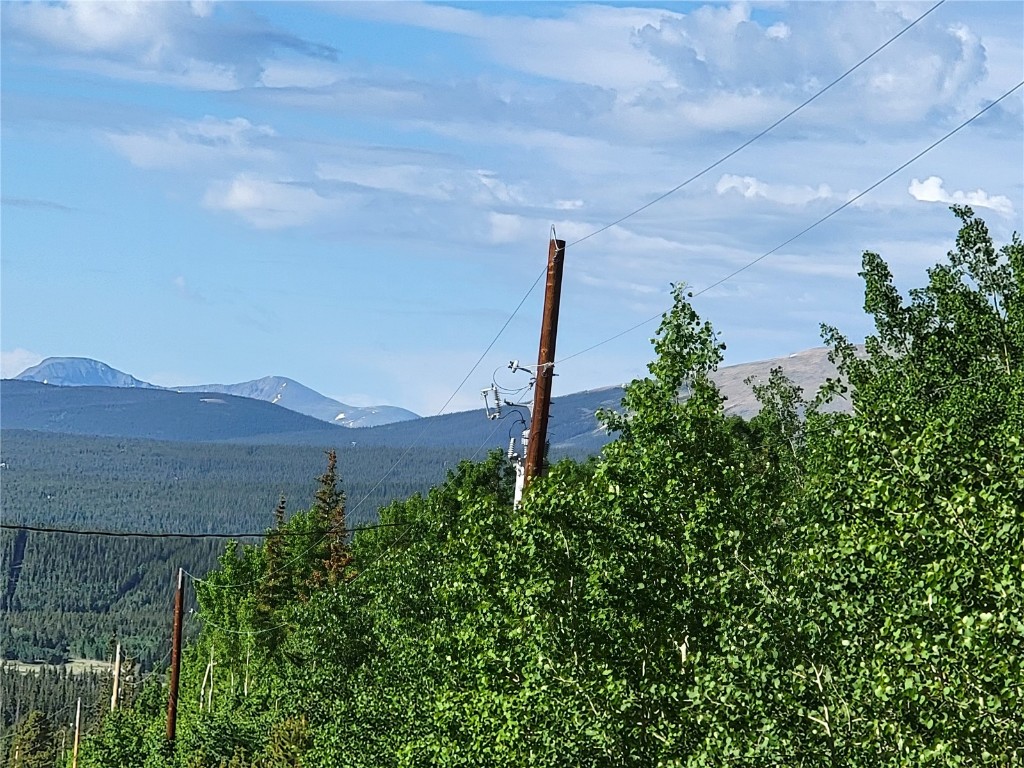 1191 Quartzville Road Alma, CO 80420 - Photo 21 of 43