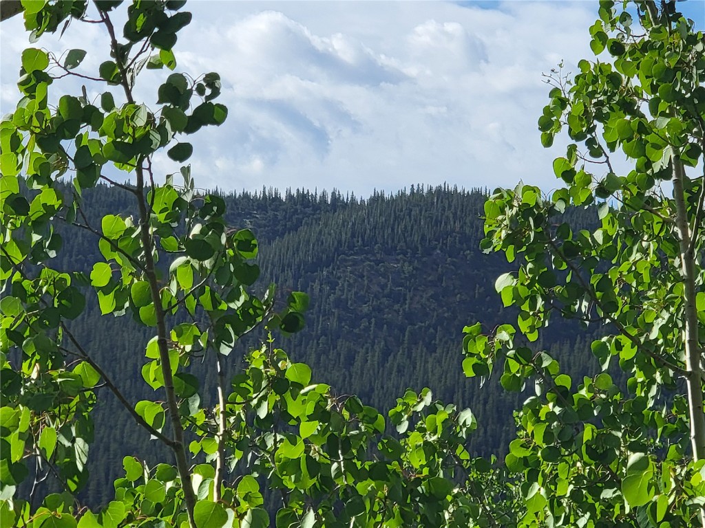 1191 Quartzville Road Alma, CO 80420 - Photo 22 of 43