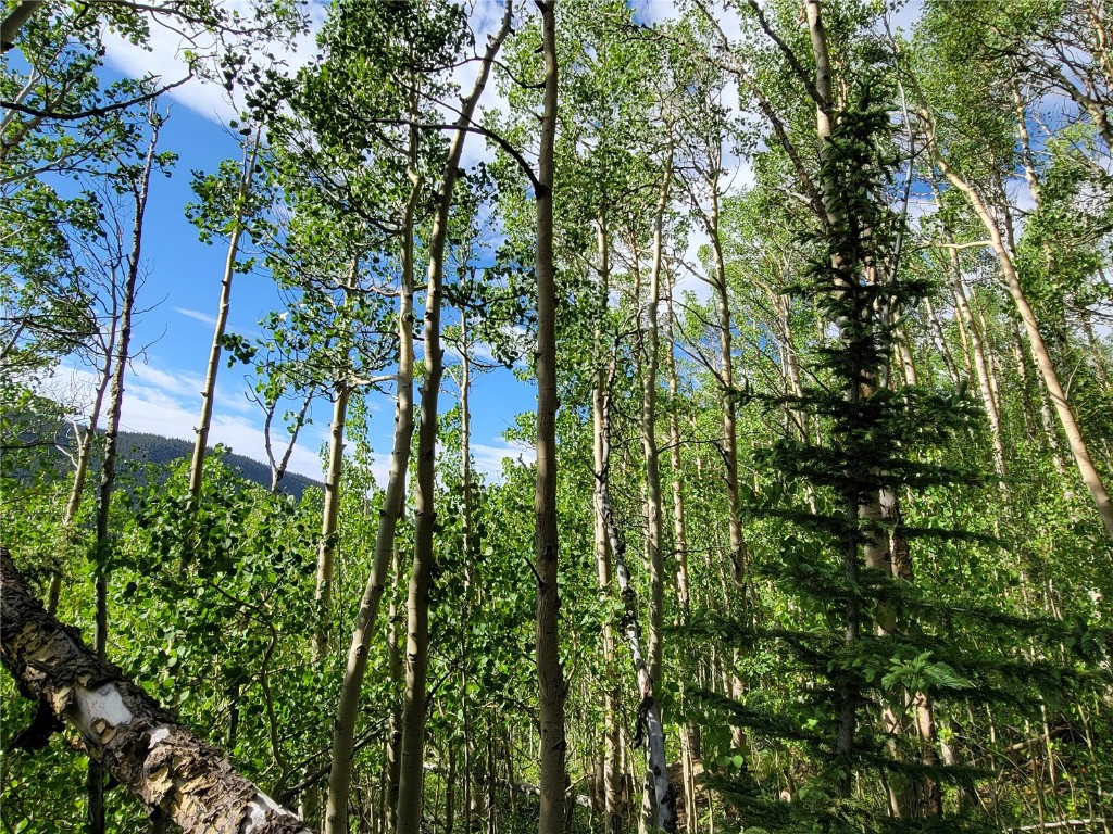 1191 Quartzville Road Alma, CO 80420 - Photo 23 of 43