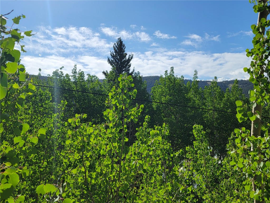 1191 Quartzville Road Alma, CO 80420 - Photo 24 of 43