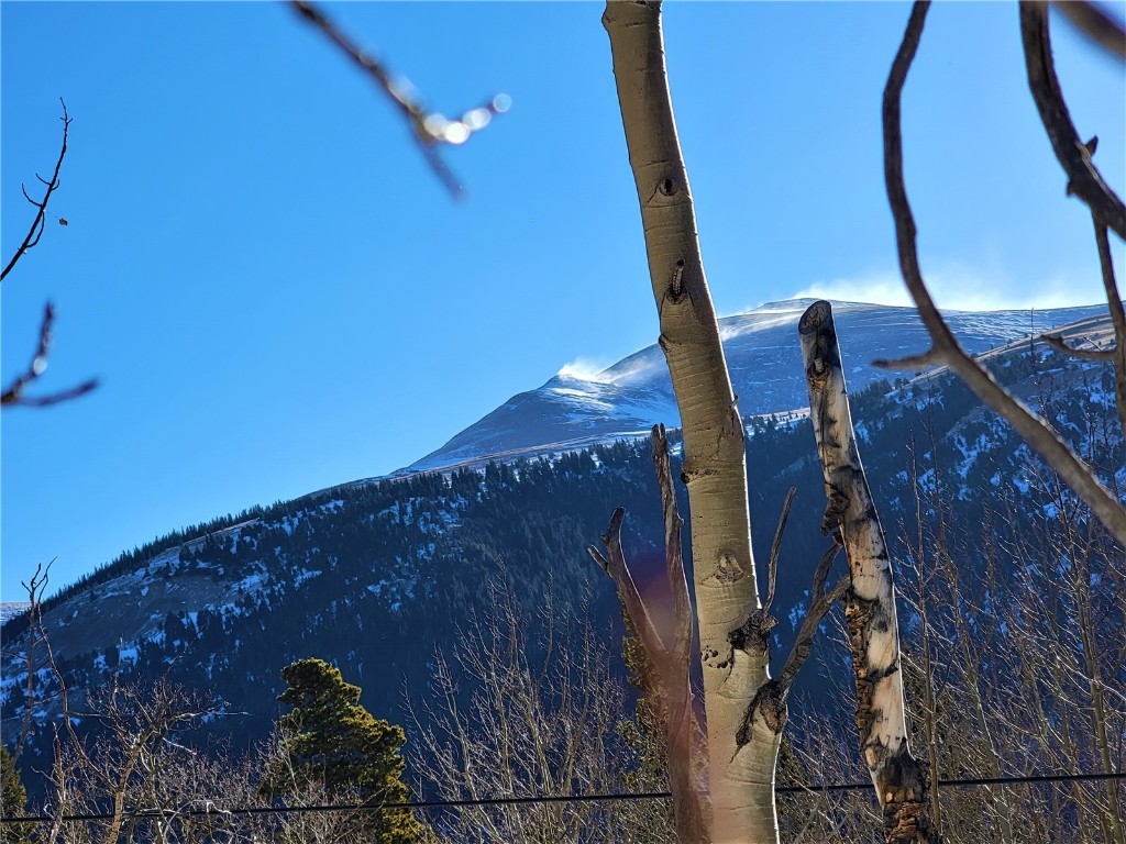 1191 Quartzville Road Alma, CO 80420 - Photo 25 of 43