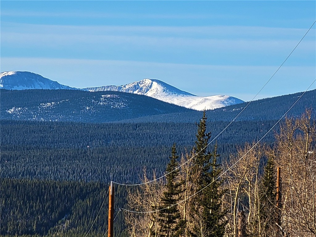 1191 Quartzville Road Alma, CO 80420 - Photo 26 of 43