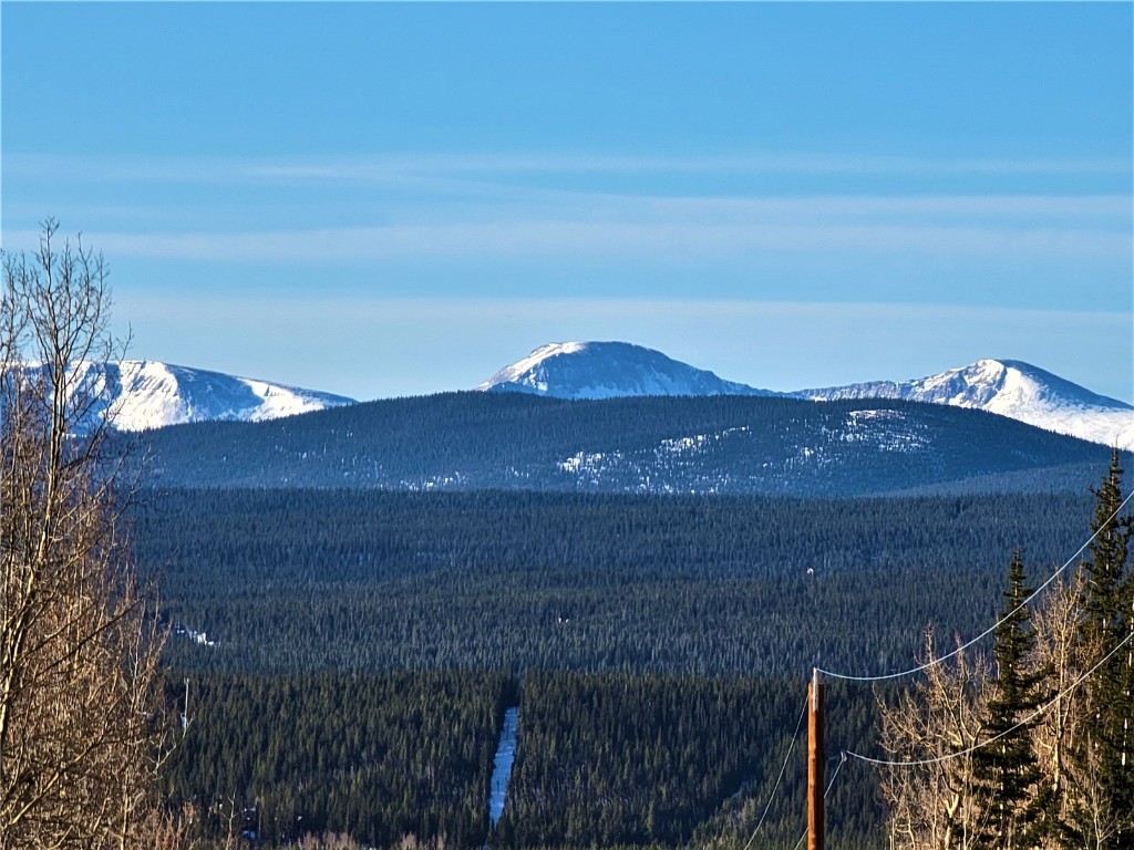 1191 Quartzville Road Alma, CO 80420 - Photo 27 of 43