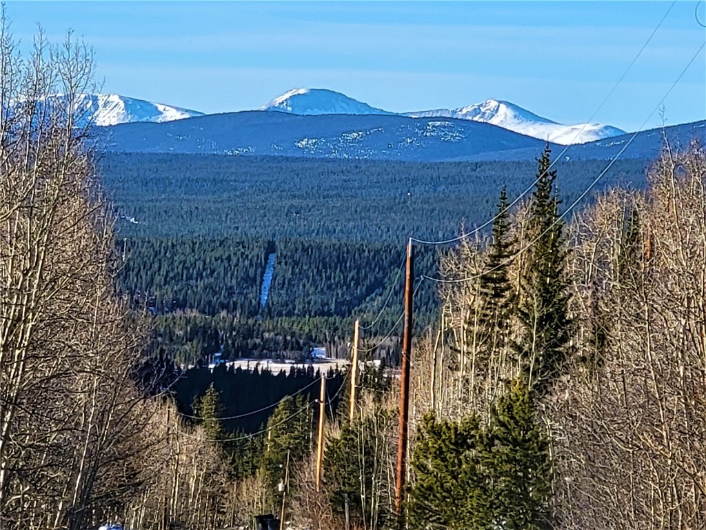 1191 Quartzville Road Alma, CO 80420 - Photo 28 of 43