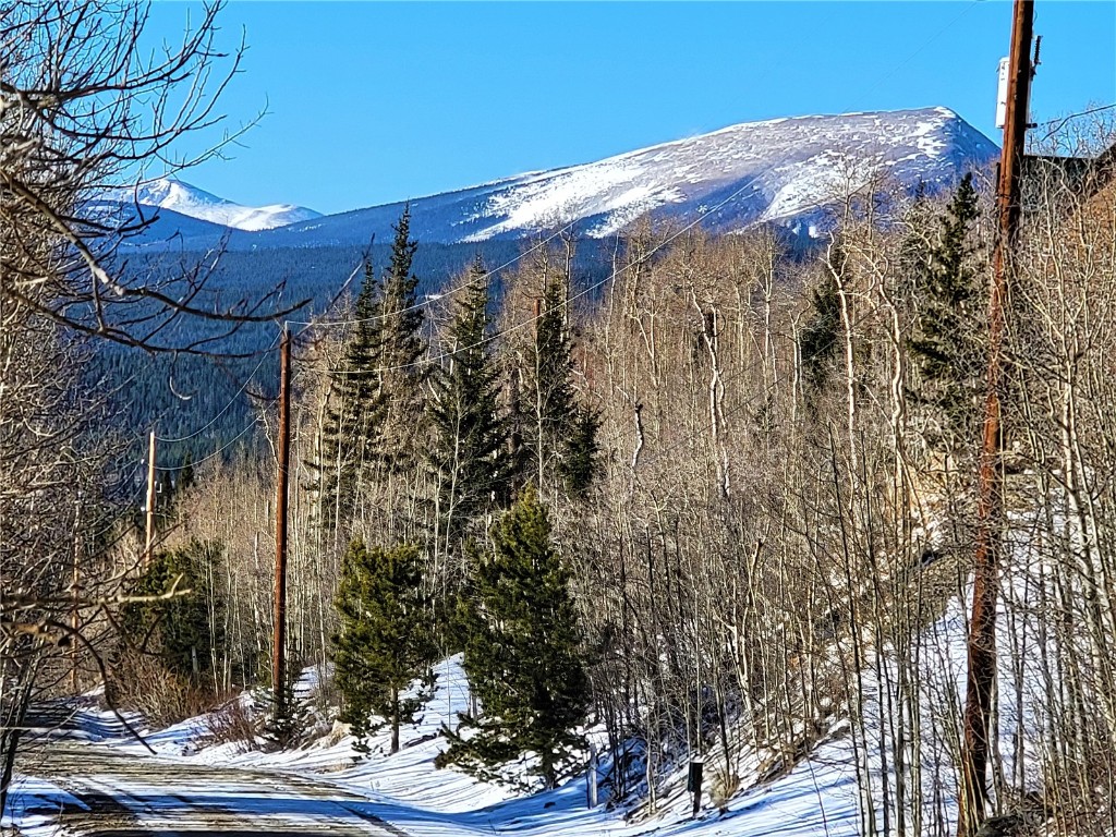 1191 Quartzville Road Alma, CO 80420 - Photo 29 of 43