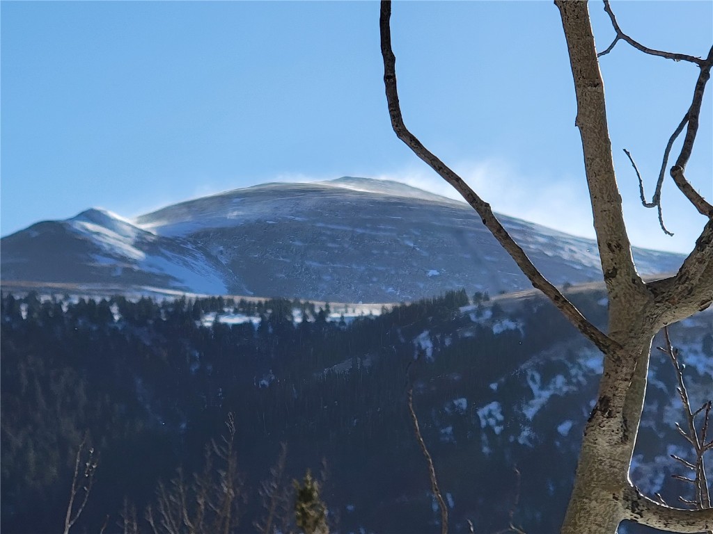 1191 Quartzville Road Alma, CO 80420 - Photo 30 of 43