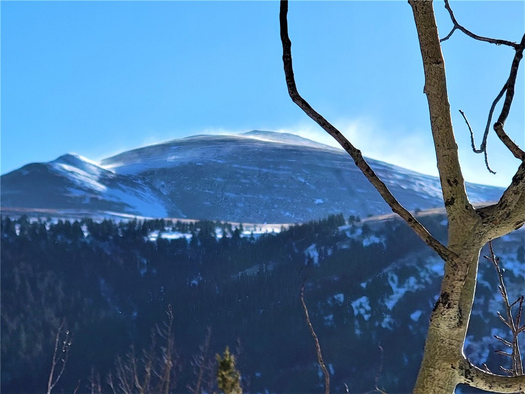 1191 Quartzville Road Alma, CO 80420 - Photo 3 of 43