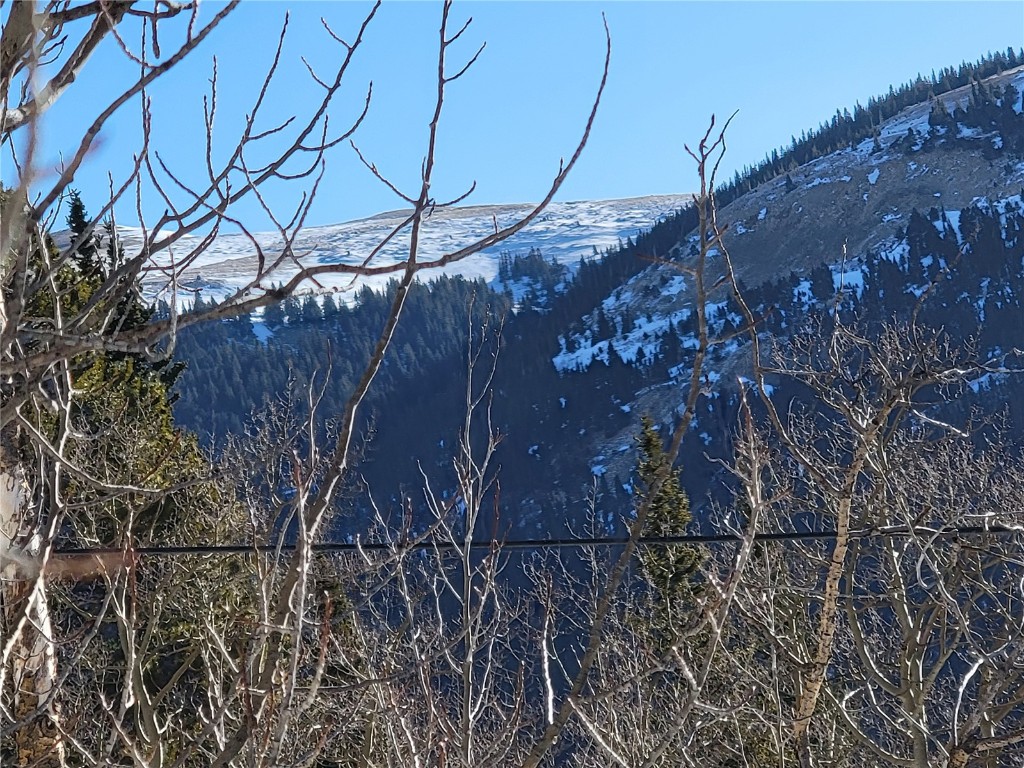 1191 Quartzville Road Alma, CO 80420 - Photo 31 of 43