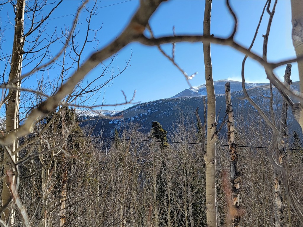 1191 Quartzville Road Alma, CO 80420 - Photo 32 of 43