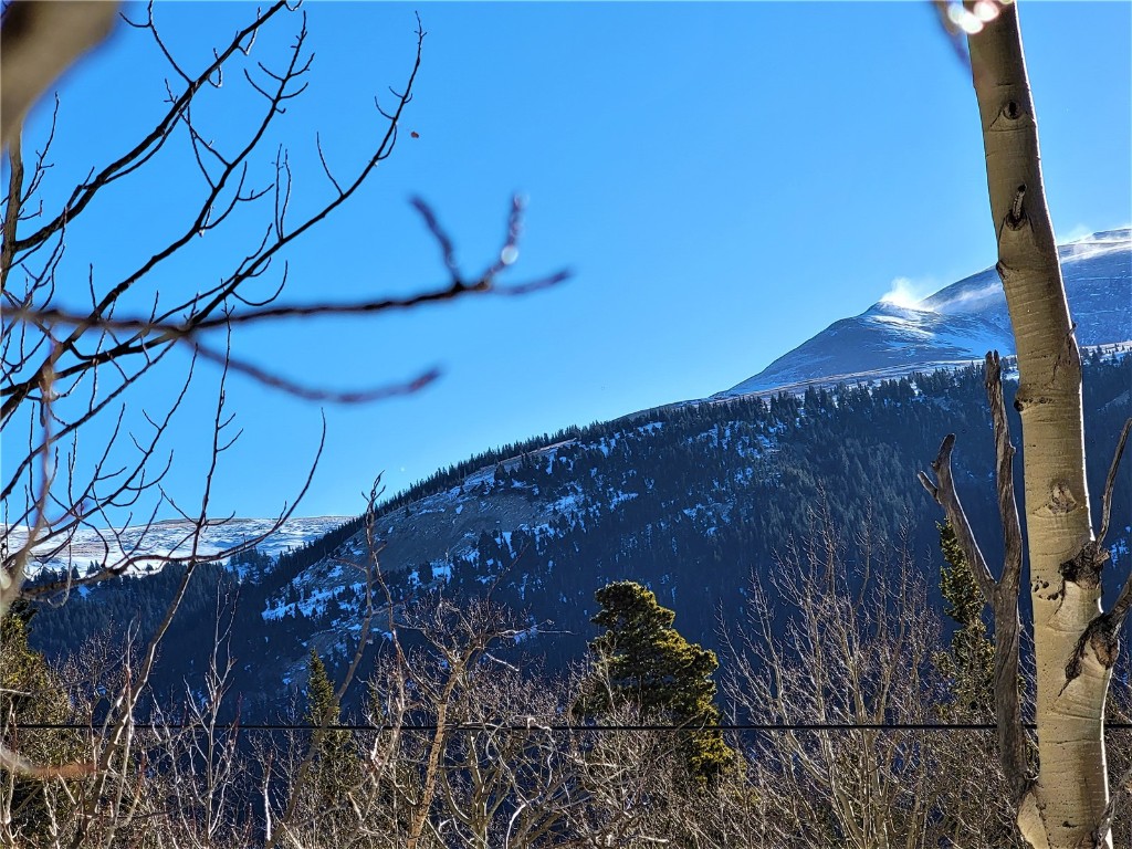 1191 Quartzville Road Alma, CO 80420 - Photo 33 of 43