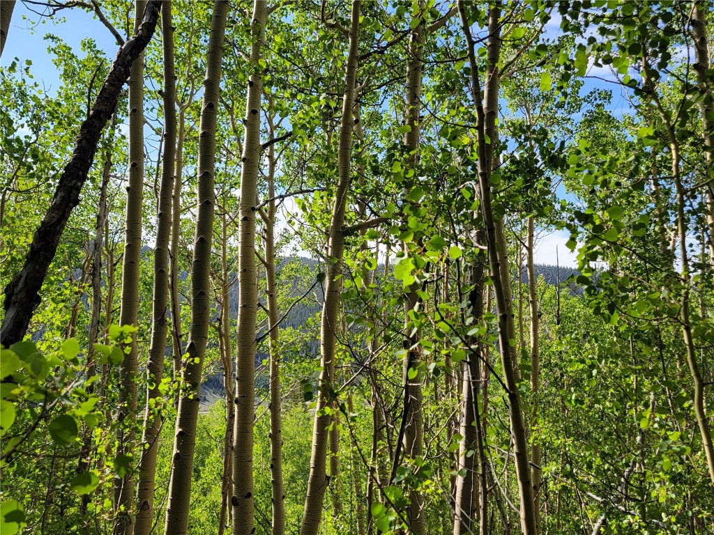 1191 Quartzville Road Alma, CO 80420 - Photo 34 of 43