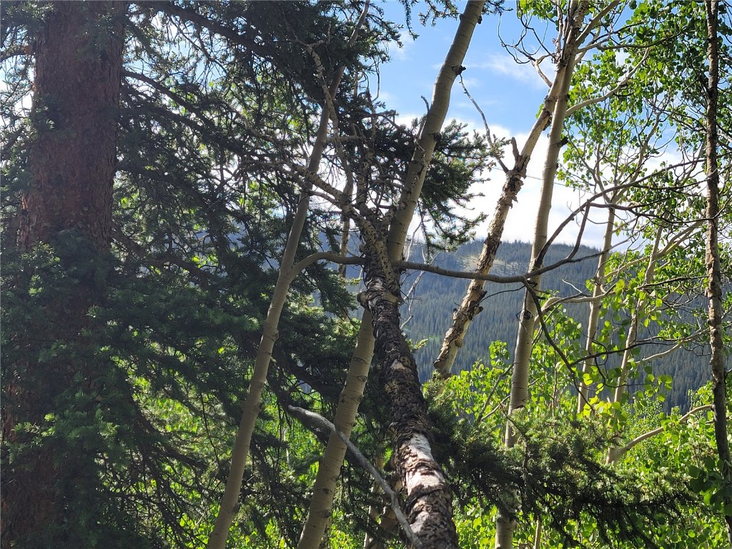 1191 Quartzville Road Alma, CO 80420 - Photo 35 of 43