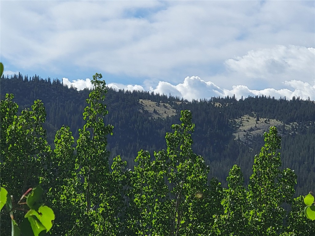 1191 Quartzville Road Alma, CO 80420 - Photo 36 of 43