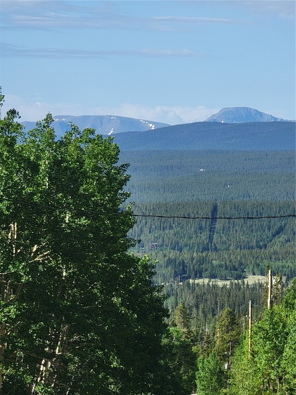 1191 Quartzville Road Alma, CO 80420 - Photo 37 of 43