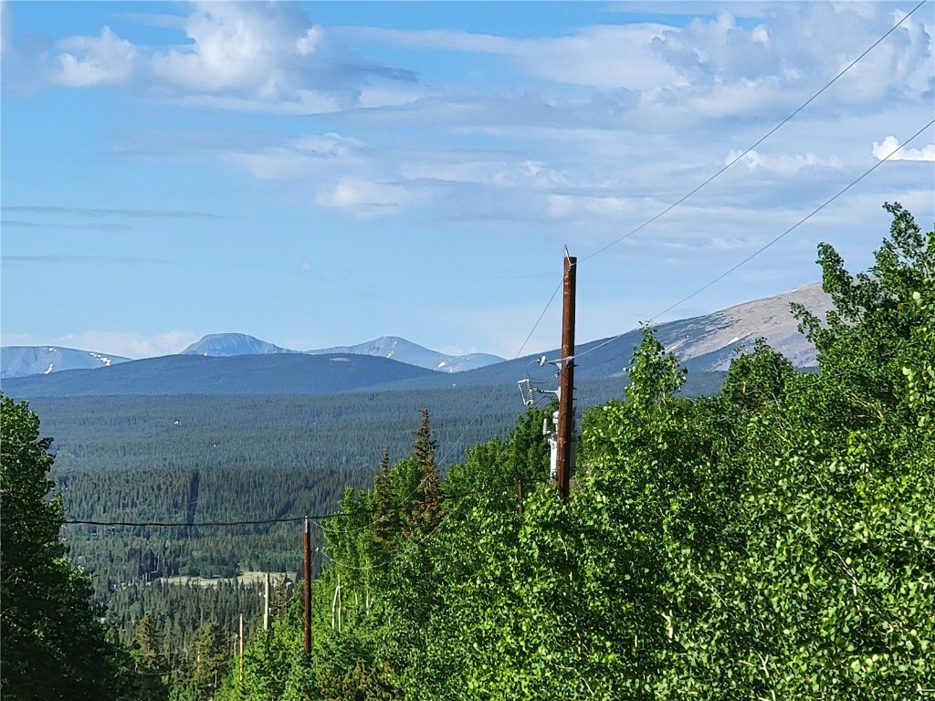 1191 Quartzville Road Alma, CO 80420 - Photo 38 of 43
