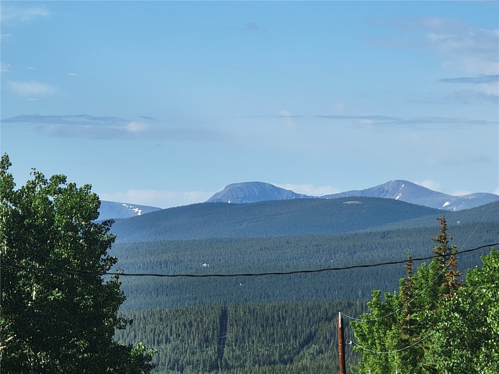 1191 Quartzville Road Alma, CO 80420 - Photo 39 of 43