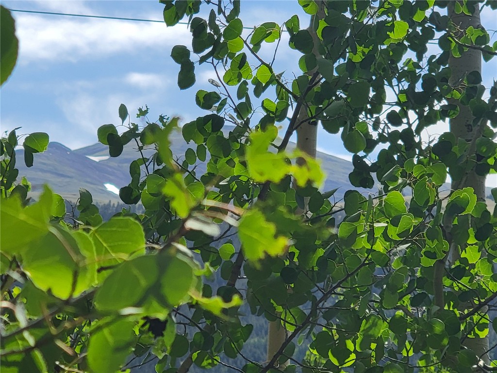 1191 Quartzville Road Alma, CO 80420 - Photo 4 of 43