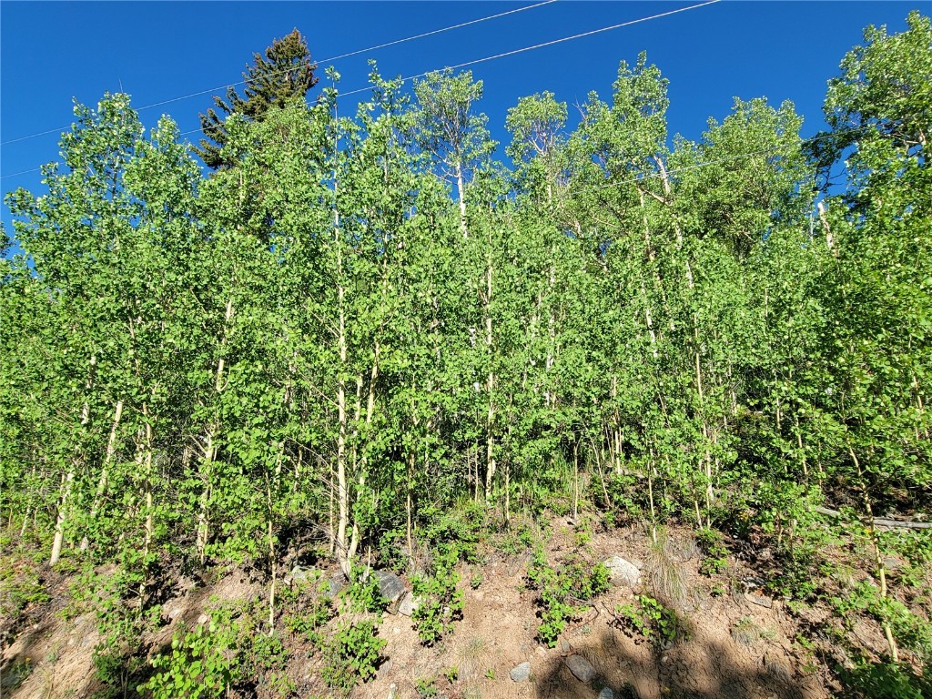 1191 Quartzville Road Alma, CO 80420 - Photo 41 of 43