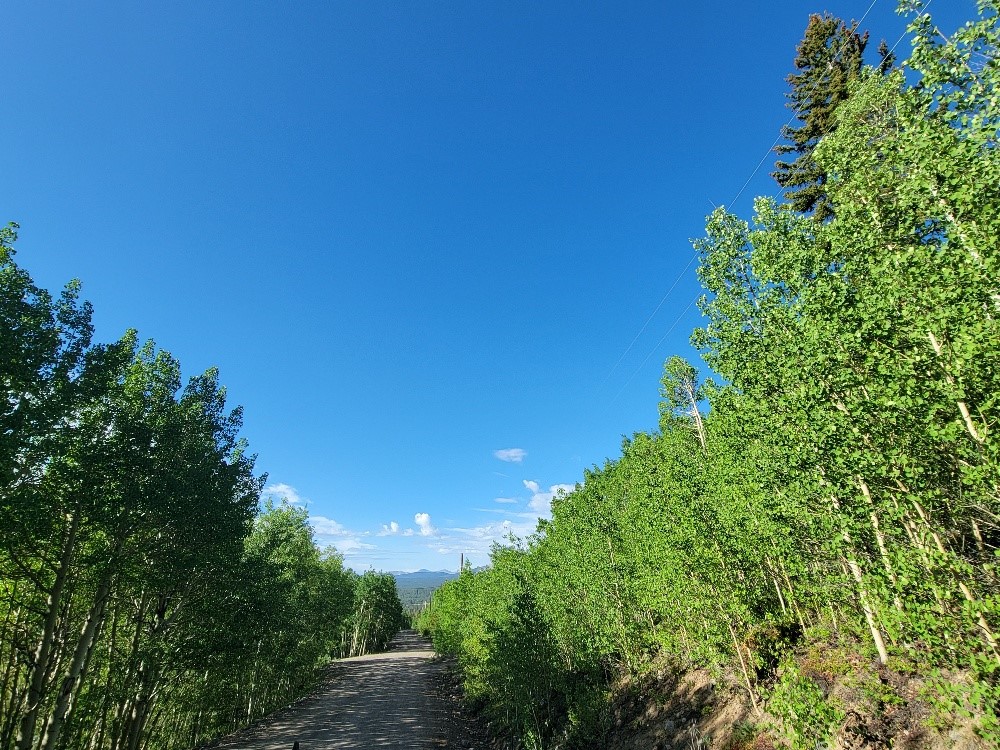 1191 Quartzville Road Alma, CO 80420 - Photo 42 of 43