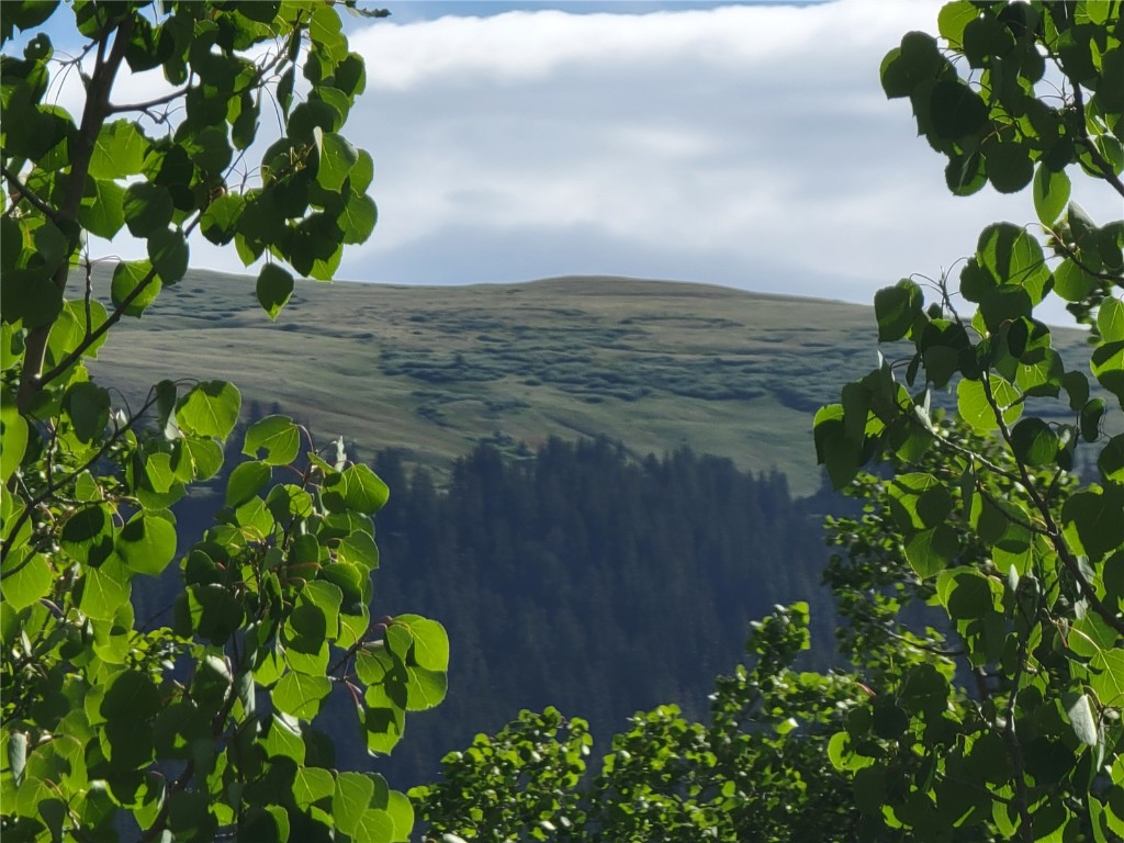 1191 Quartzville Road Alma, CO 80420 - Photo 5 of 43