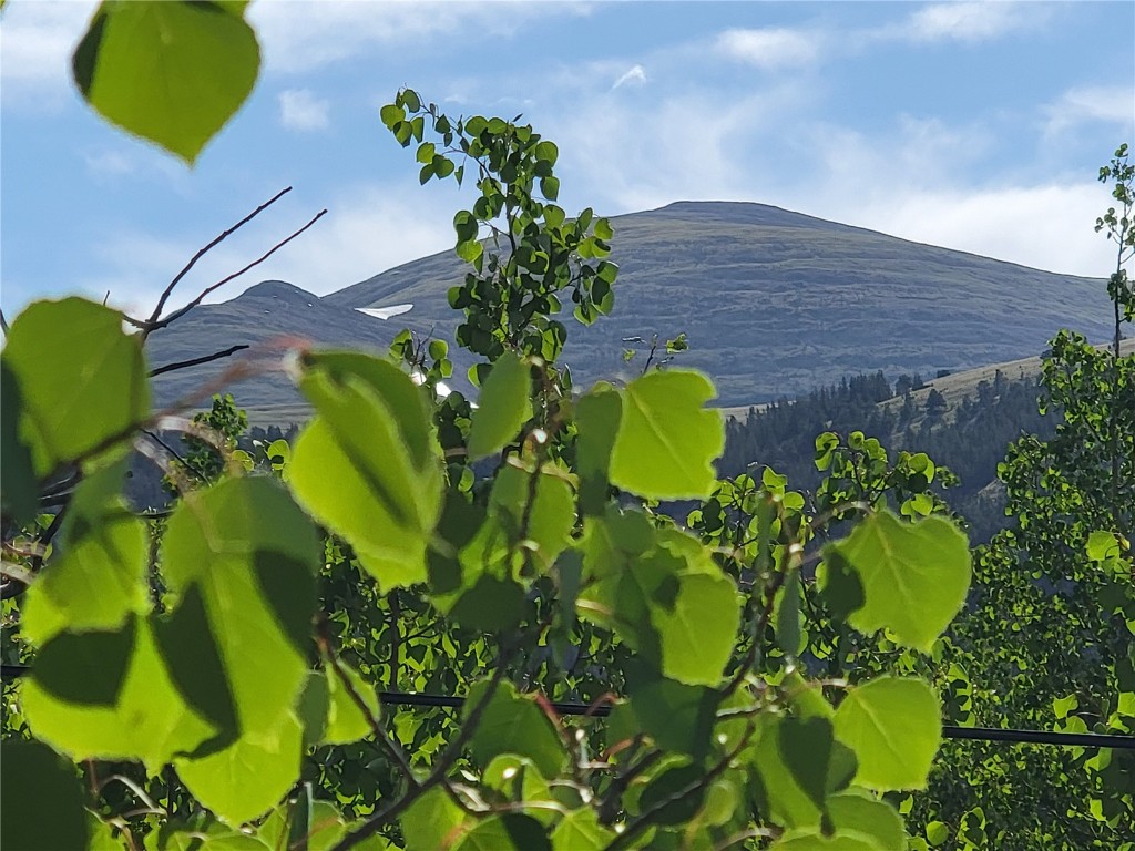 1191 Quartzville Road Alma, CO 80420 - Photo 6 of 43
