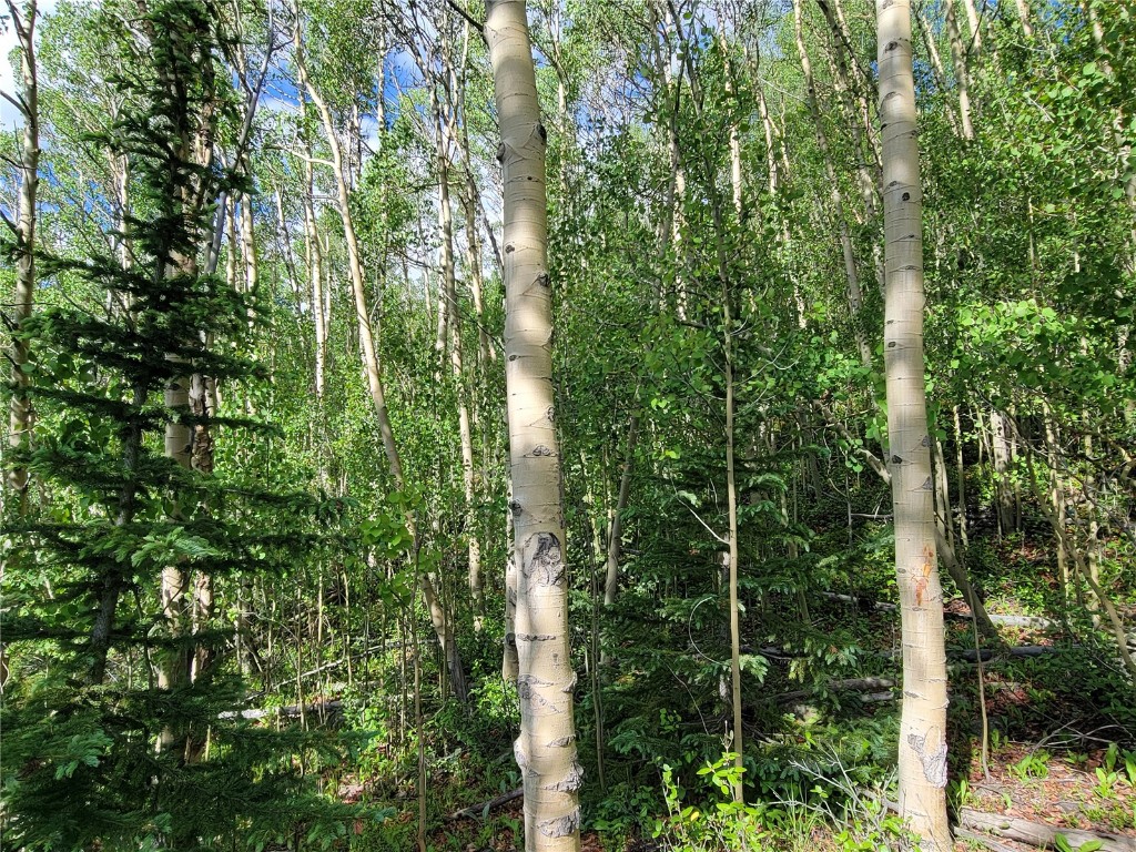 1191 Quartzville Road Alma, CO 80420 - Photo 7 of 43