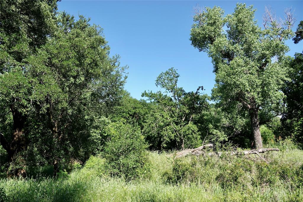 588 County Road 430 Mullin, TX 76864 - Photo 13 of 40