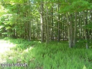 0 Whiskey Run Road Muncy Valley, PA 17758 - Photo 9 of 11 20141206151808406274000000-o