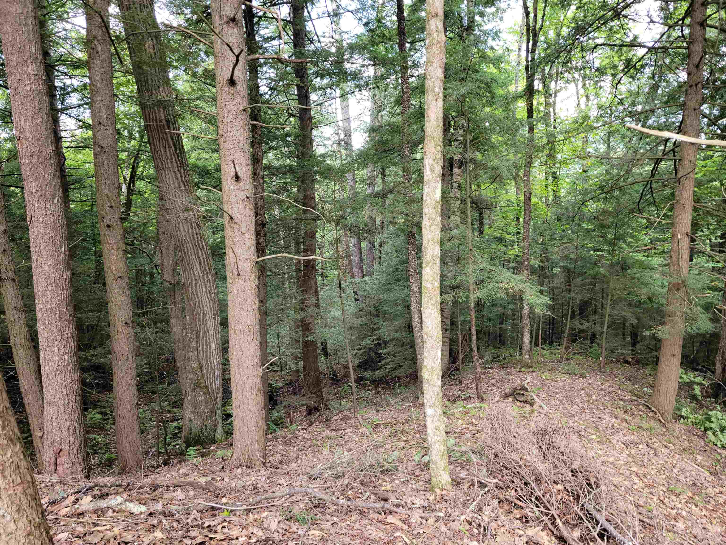 Lot 69-71 Lisbon Road Bath, NH 03740 - Photo 4 of 39